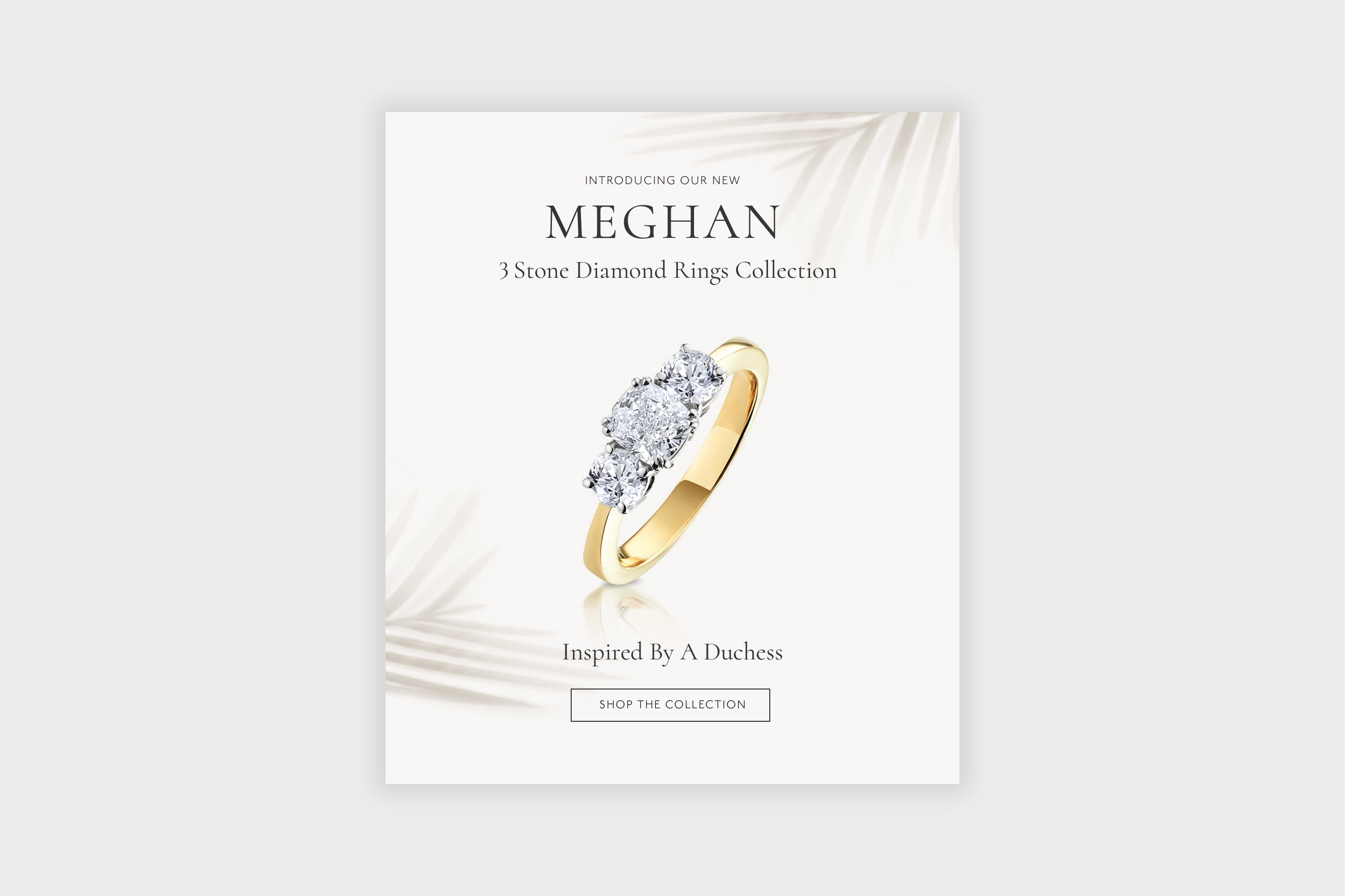 Email banner design marbella